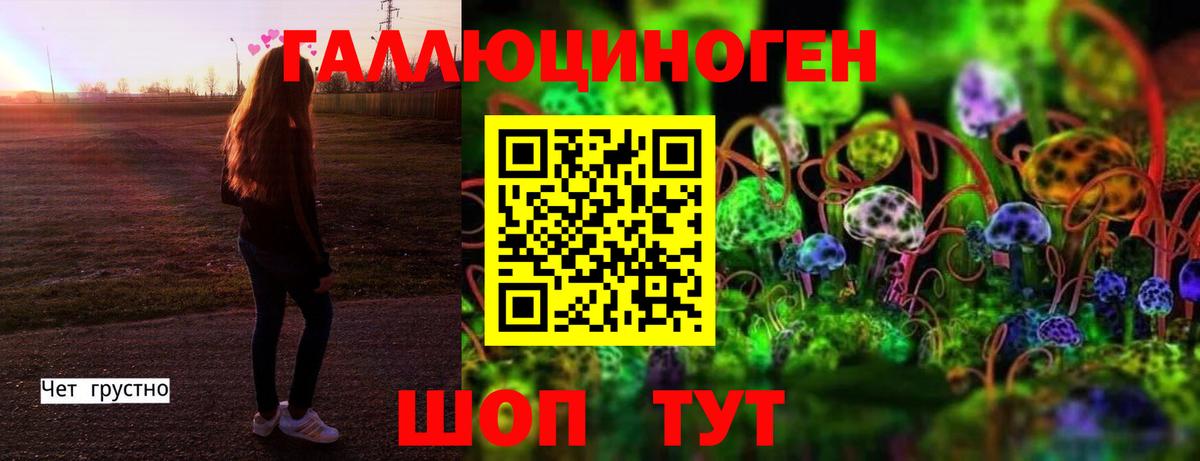Псилоцибиновые грибы ЛСД  Вход с VPN  Галлюциногенные грибы ЛСД  Магадан 