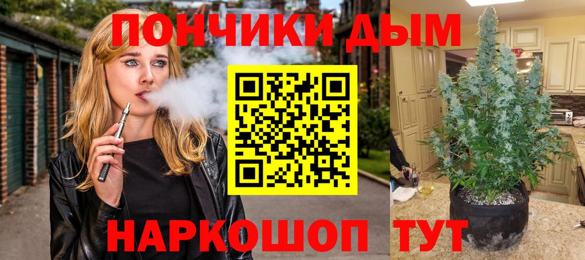 Конопля гибрид Магадан